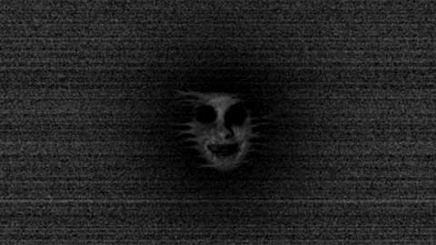 恐怖森林手机版