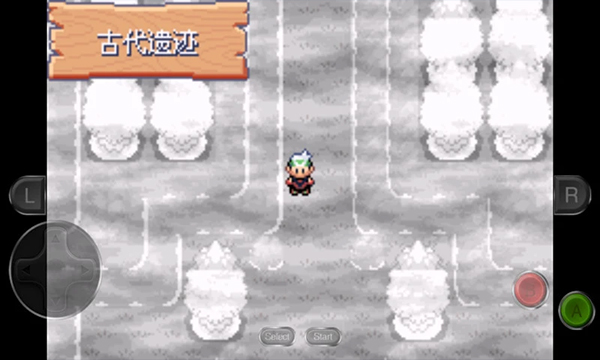 口袋妖怪永恒之沫手游