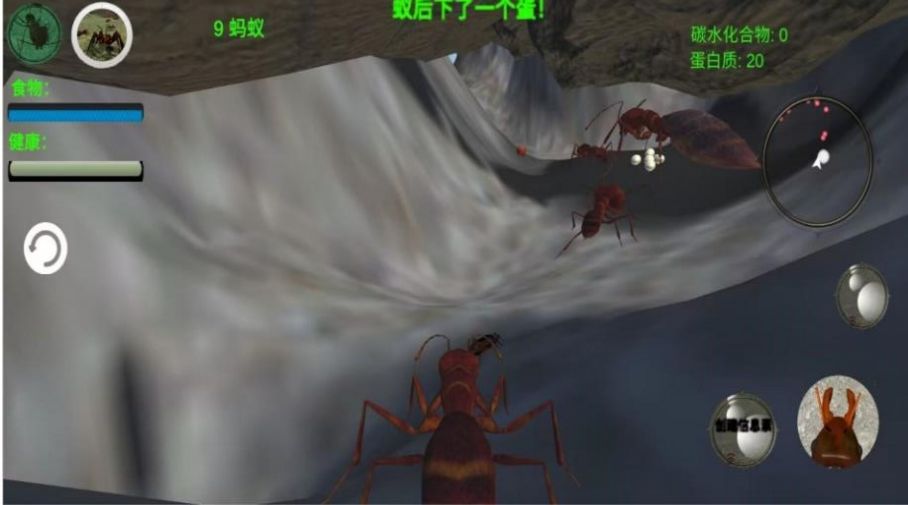 奇妙动物世界探险游戏安卓版