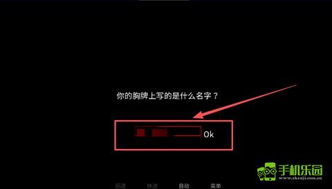 怎么玩详细教程截图3