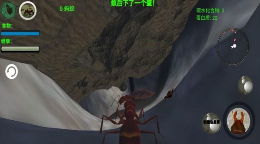 奇妙动物世界探险游戏安卓版