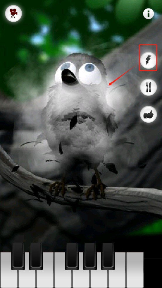 会说话的拉里鸟talkingLarry