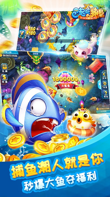 一起玩棋牌游戏