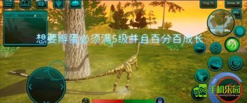 诅咒之岛正版
