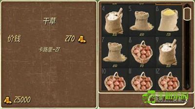 钢铁之躯3火器时代