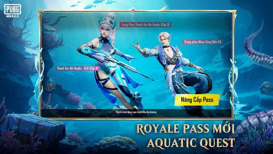 pubg越南服