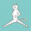 围住神经猫