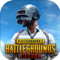 地铁逃生PUBG国际服官网正式版