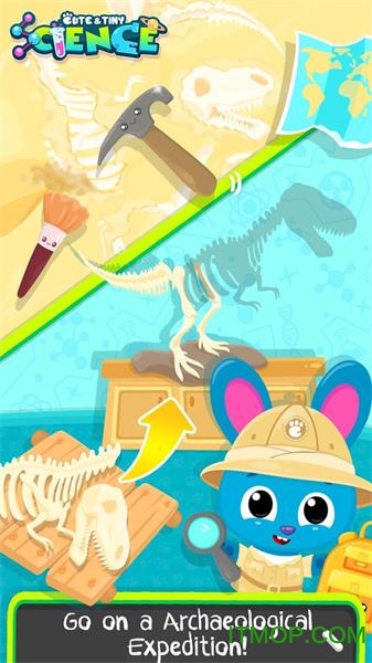 宠物实验室
