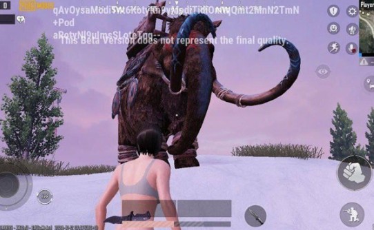 绝地求生国际服凛冬极境(PUBGMOBILE)
