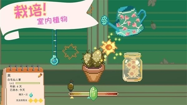 窗边花园游戏中文正版