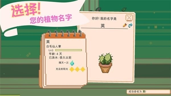 窗边花园游戏中文正版