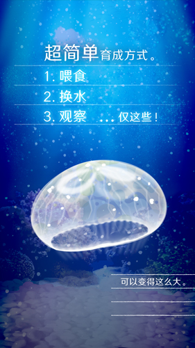 养育水母的治愈游戏中文版