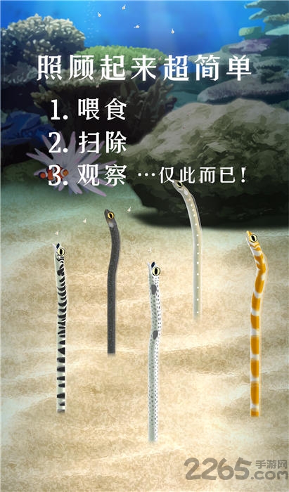 养育花园鳗的治愈游戏无限货币版