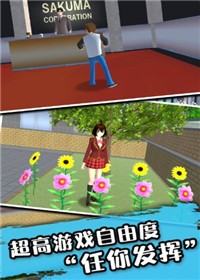 疯狂追男神游戏
