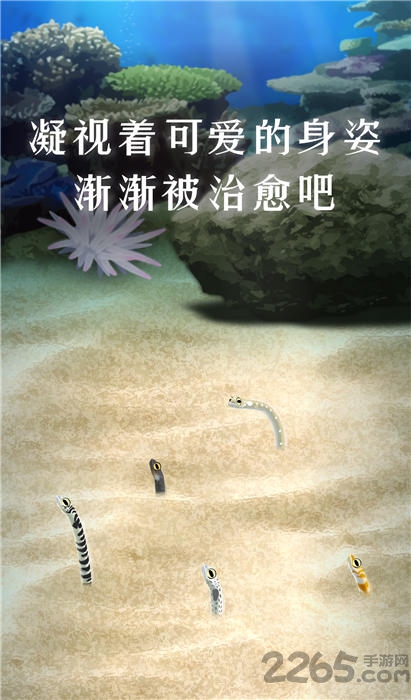 养育花园鳗的治愈游戏无限货币版