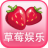 大草莓娱乐app